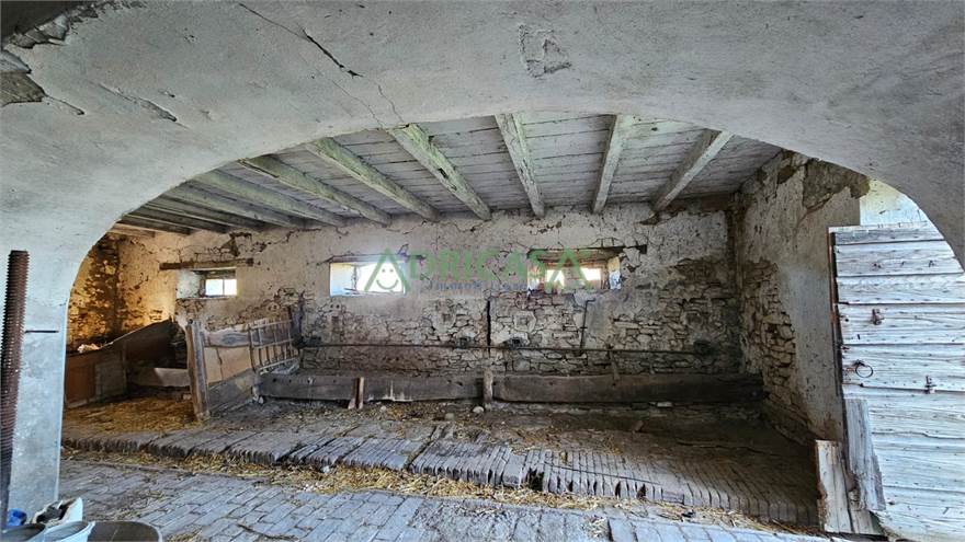 Photo 36
