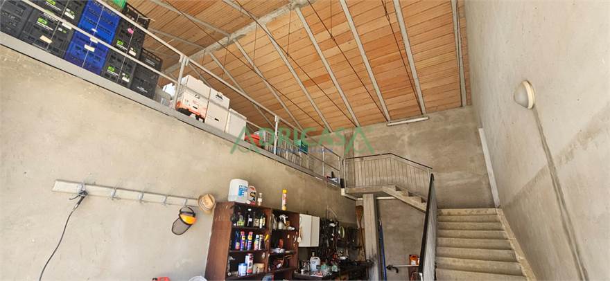 Photo 20