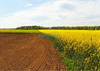 Terreno agricolo in vendita a Forlì