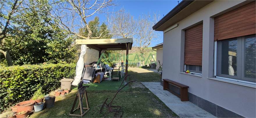 Photo 44